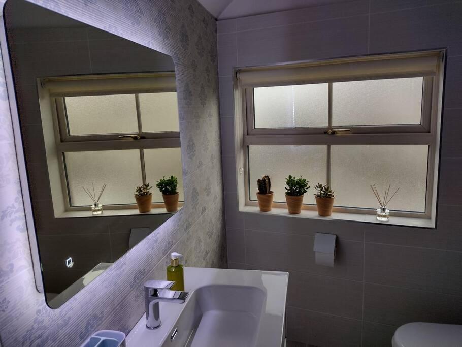 Apartmán White Birds Townhouse In Sligo Town Center Exteriér fotografie